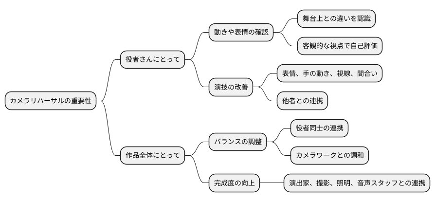 演技の確認と修正