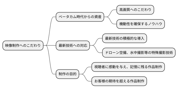 将来の展望